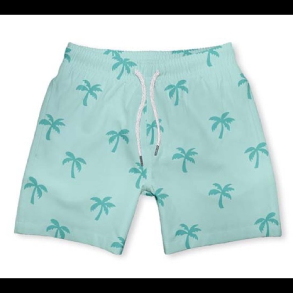 Toddler boy swim trunks